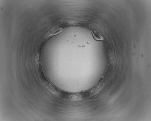 X0000072490275200608041423