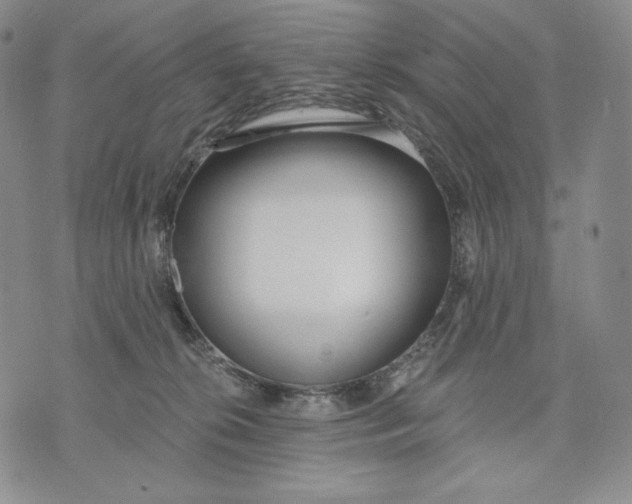 X0000072490276200608041423