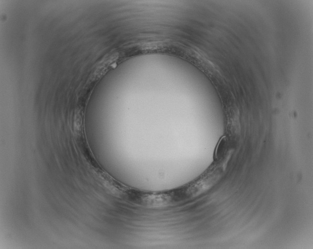 X0000072490277200608041423