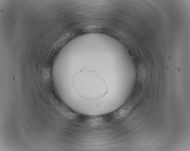 X0000072490278200608041423