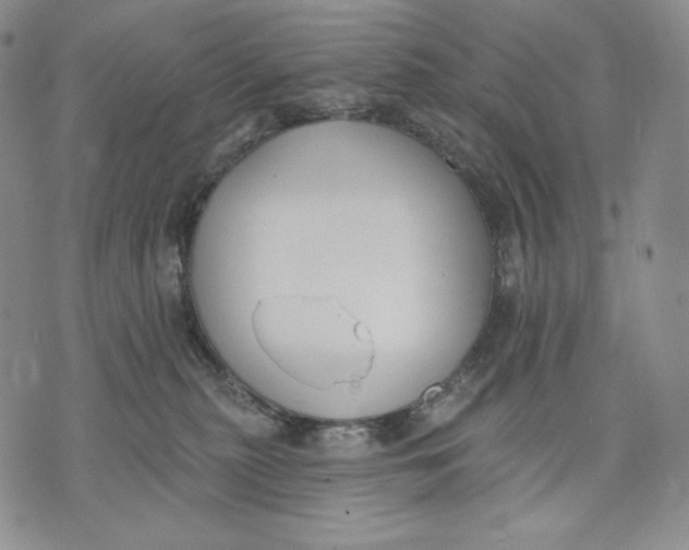 X0000072490279200608041423