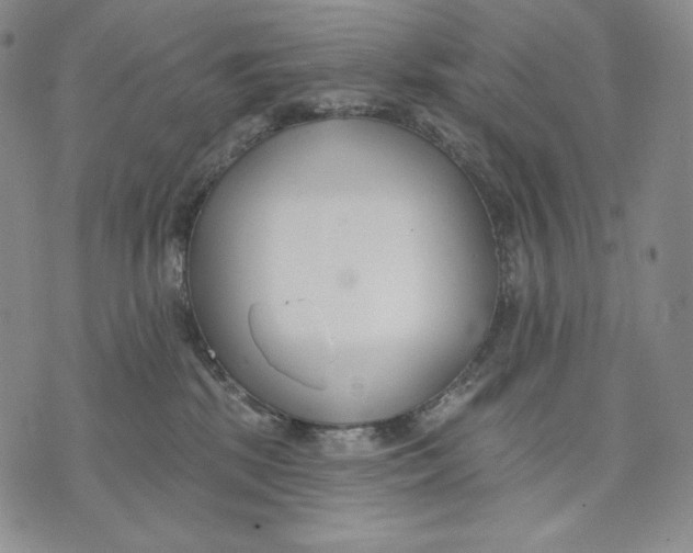 X0000072490281200608041424