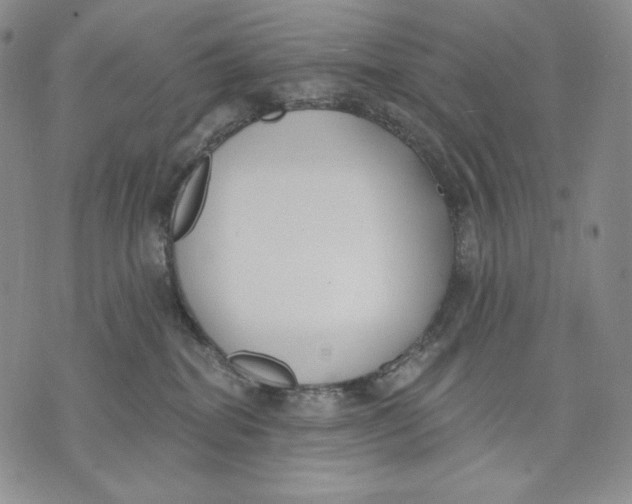 X0000072490282200608041424