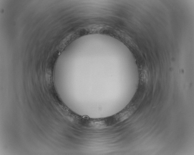 X0000072490283200608041424