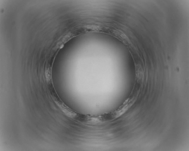 X0000072490285200608041424