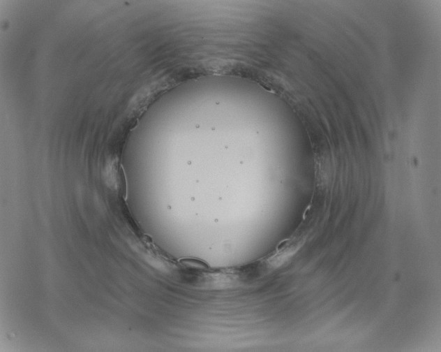 X0000072490286200608041424