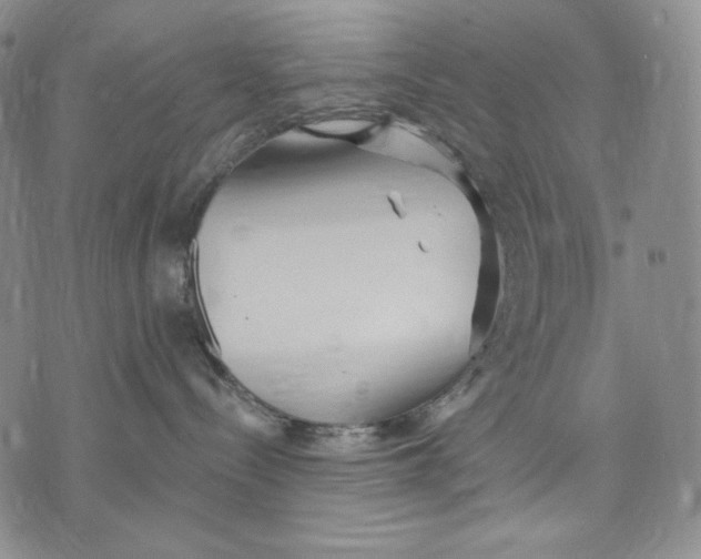 X0000072490288200608041424