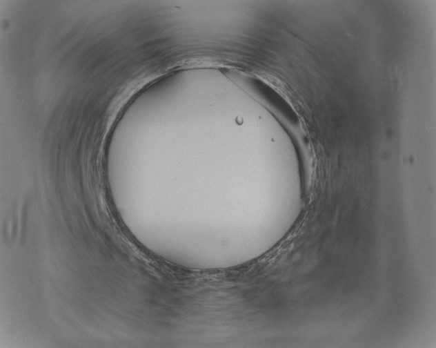 X0000072490289200608041423