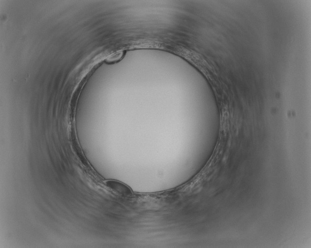 X0000072490290200608041423