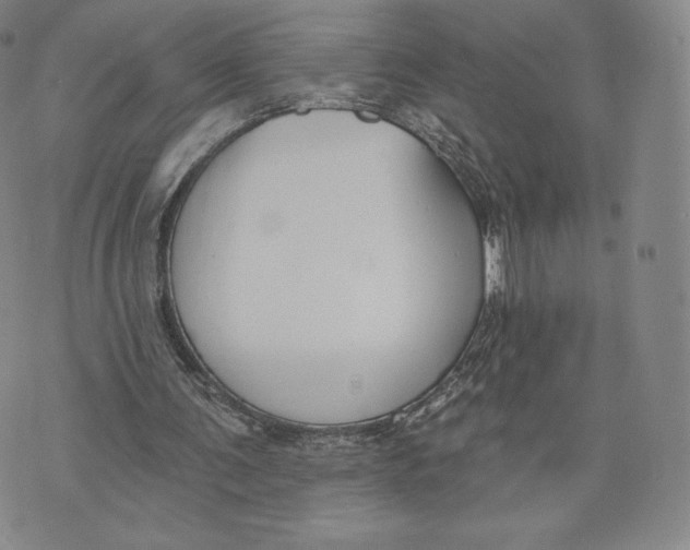 X0000072490291200608041423