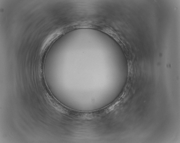 X0000072490293200608041423