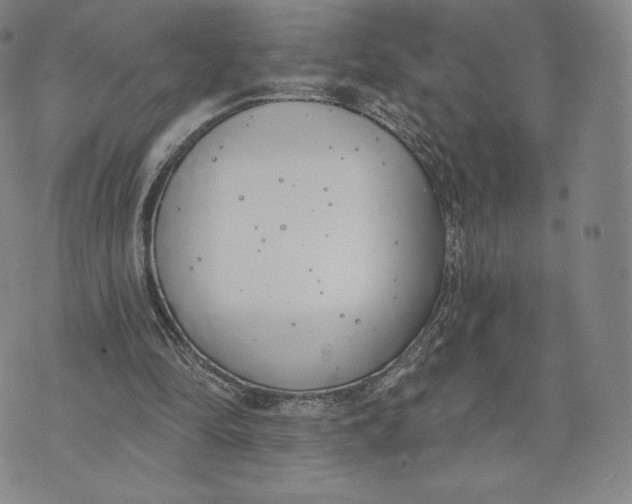 X0000072490294200608041423