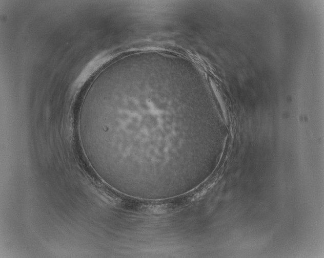 X0000072490295200608041423