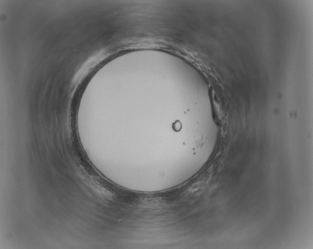 X0000072490296200608041423