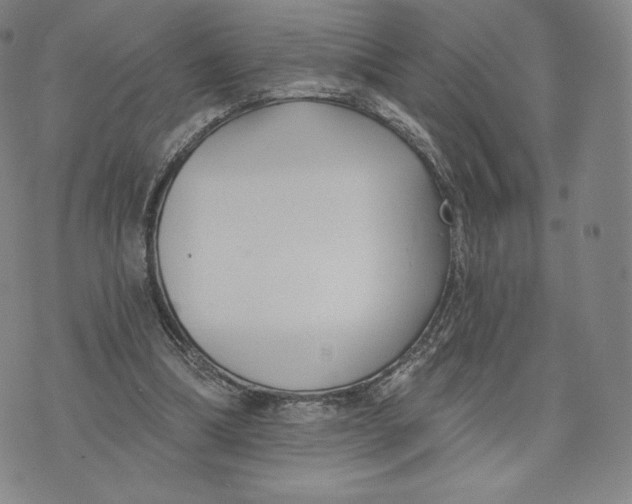 X0000072490298200608041423