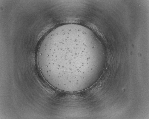 X0000072490299200608041423