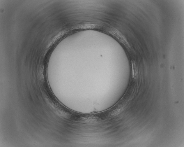 X0000072490300200608041423