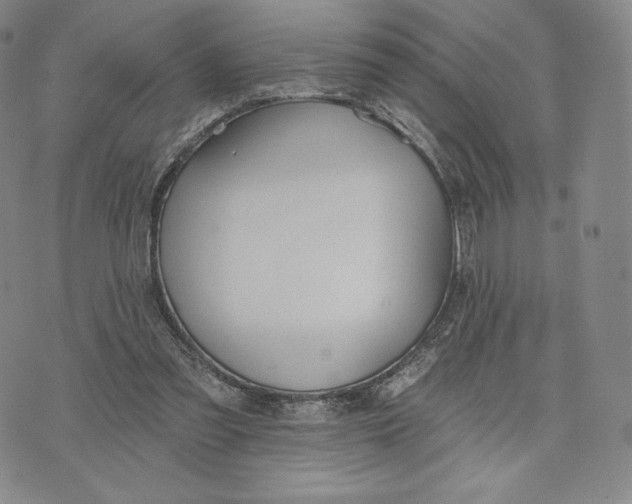 X0000072490301200608041423