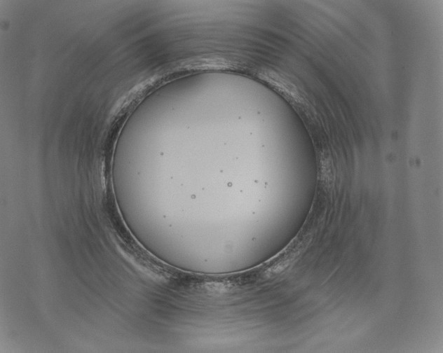 X0000072490302200608041423