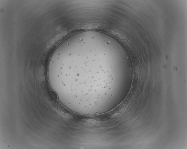 X0000072490303200608041423