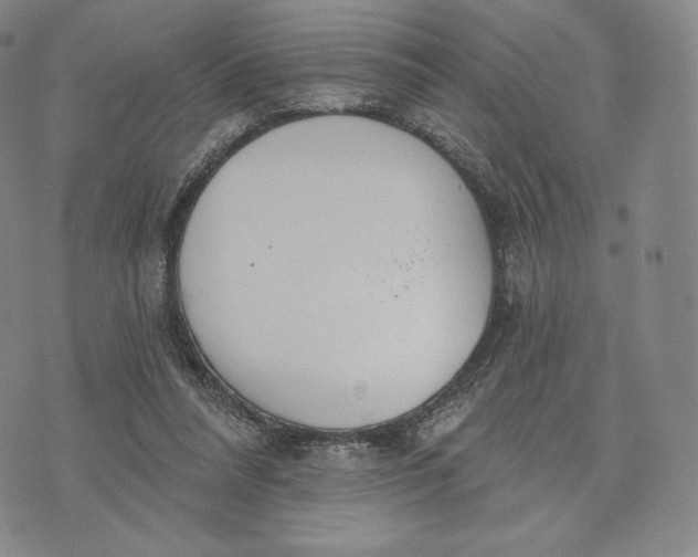 X0000072490304200608041423