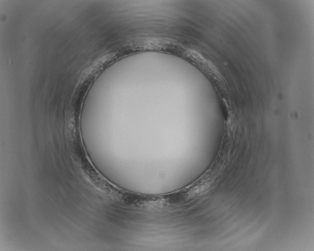 X0000072490306200608041423