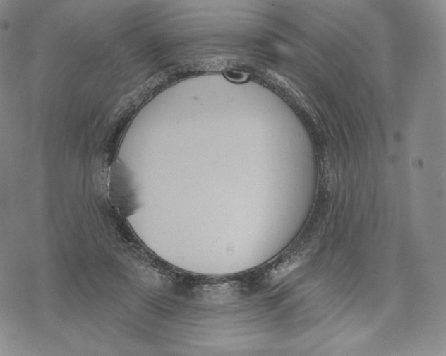 X0000072490307200608041423