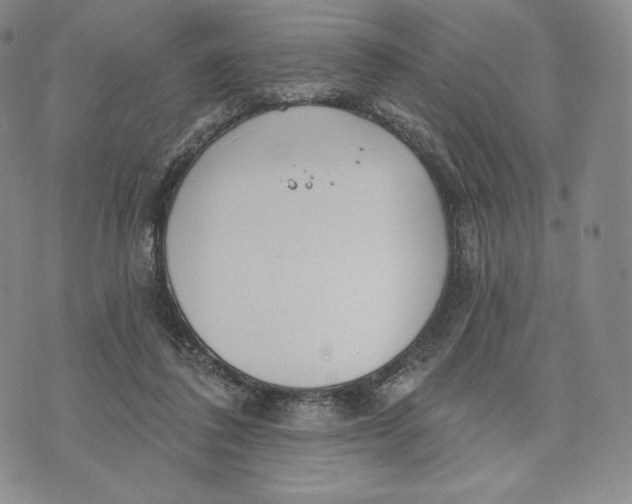 X0000072490308200608041423