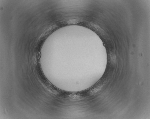 X0000072490311200608041422