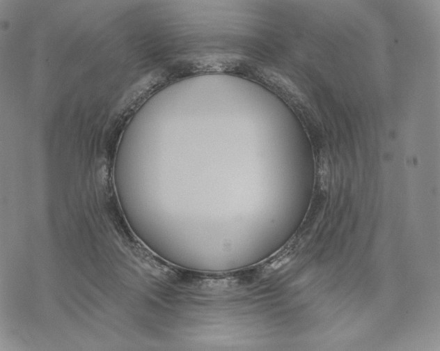 X0000072490314200608041422