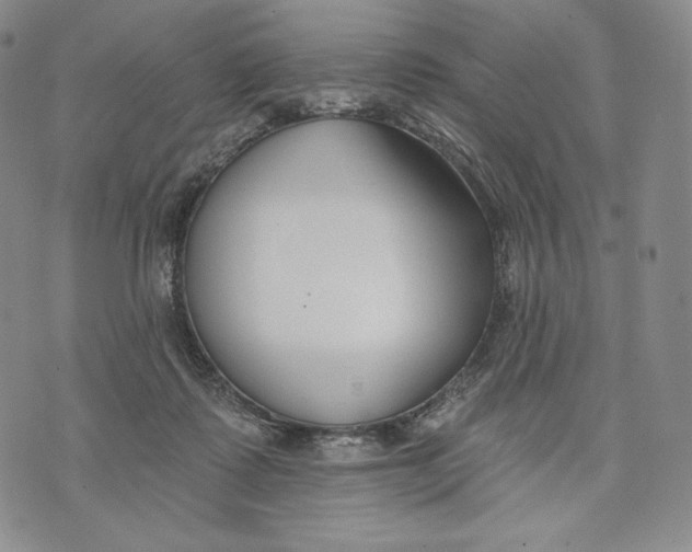 X0000072490315200608041422