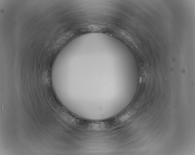 X0000072490317200608041422