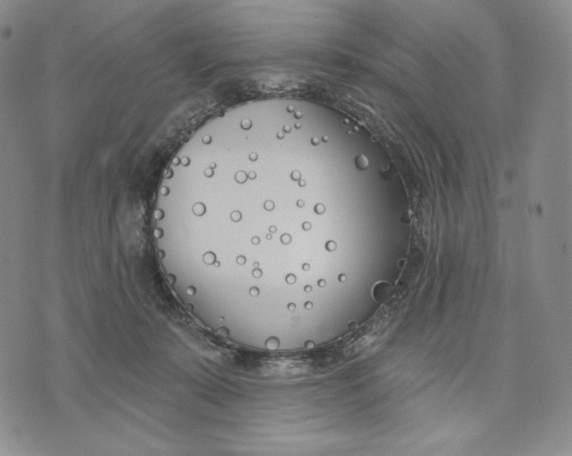 X0000072490319200608041422