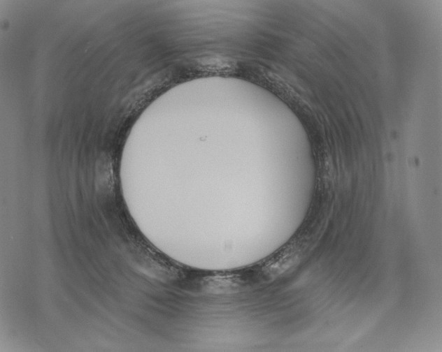 X0000072490320200608041422