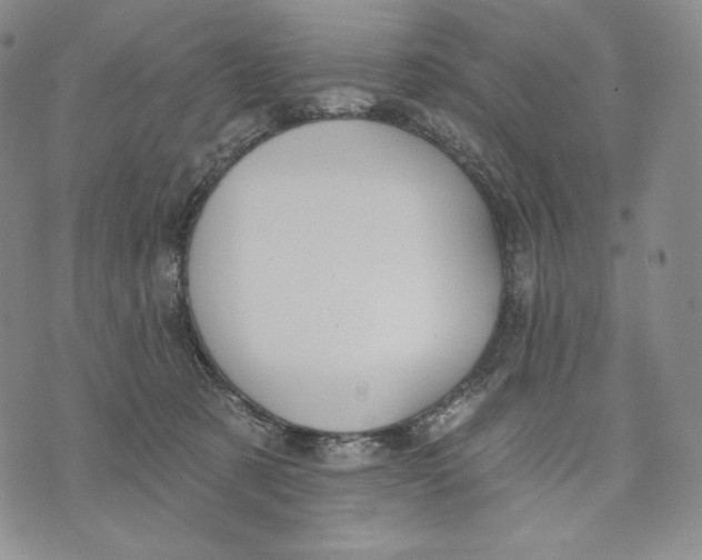 X0000072490321200608041422