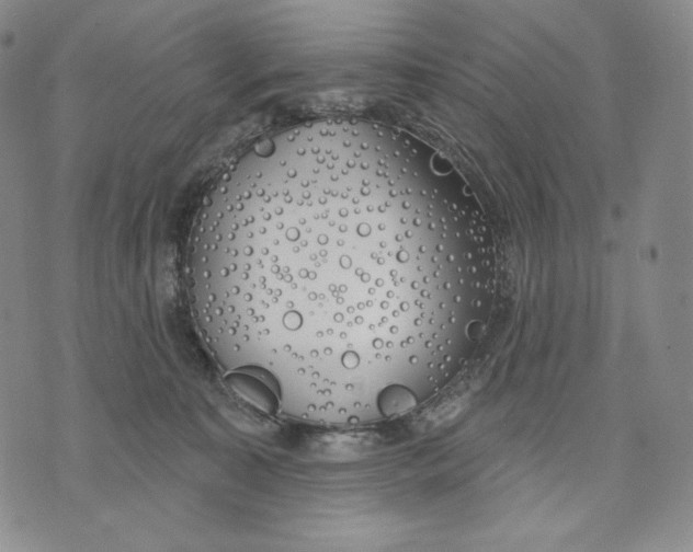 X0000072490323200608041422