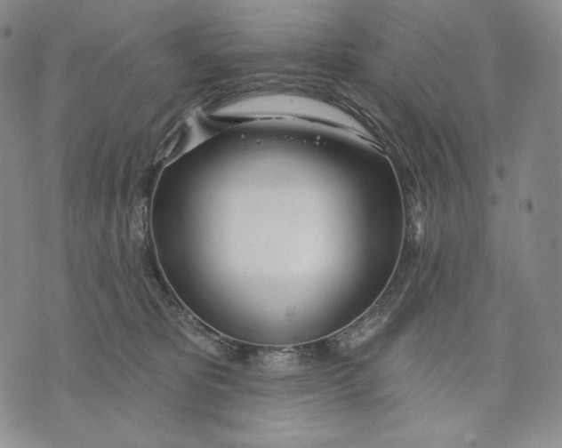 X0000072490325200608041422