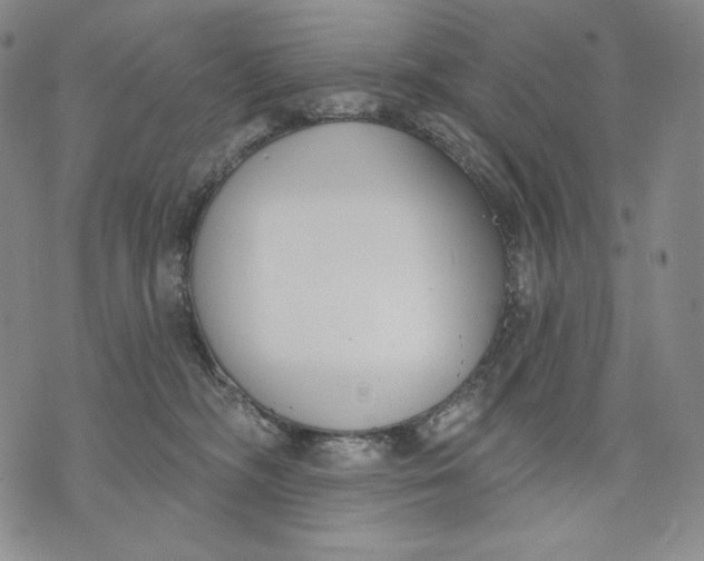 X0000072490326200608041422