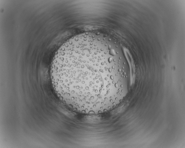 X0000072490327200608041422