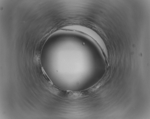 X0000072490329200608041422