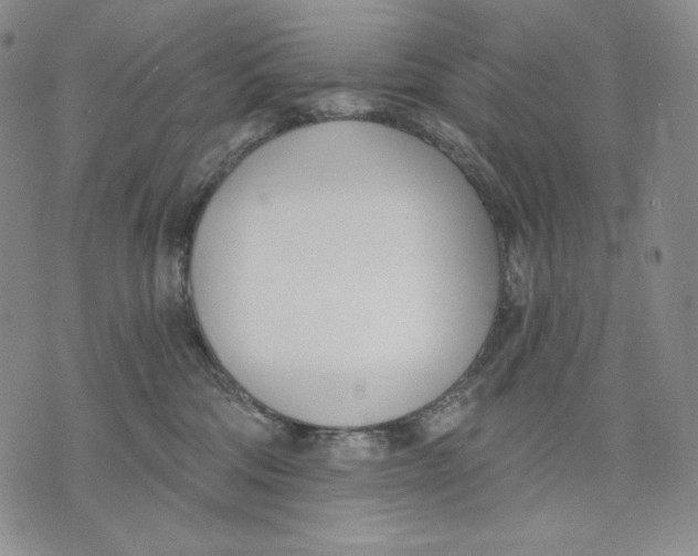 X0000072490330200608041422