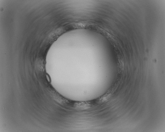 X0000072490331200608041422