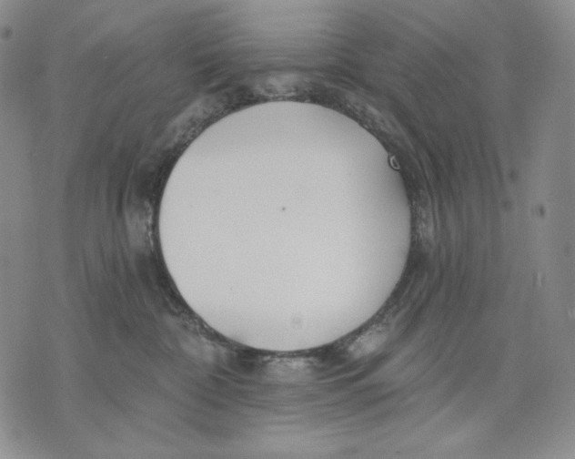 X0000072490332200608041422