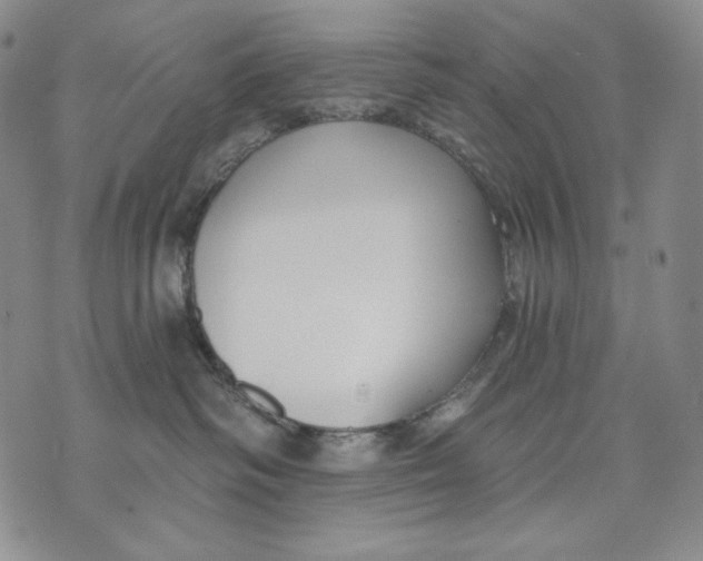 X0000072490334200608041422