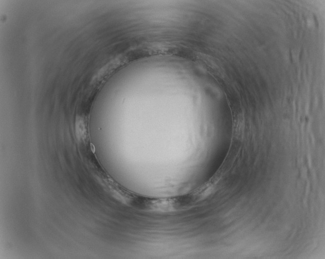 X0000072490335200608041422