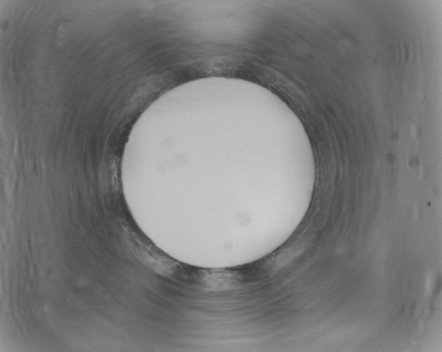 X0000072490336200608041422