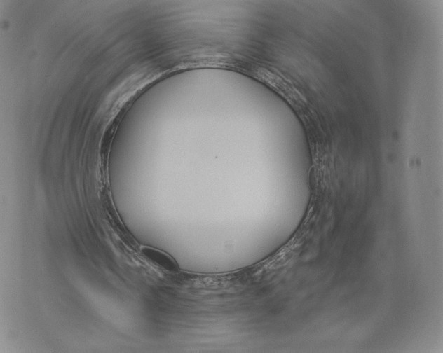 X0000072490338200608041421