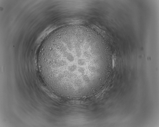 X0000072490339200608041421