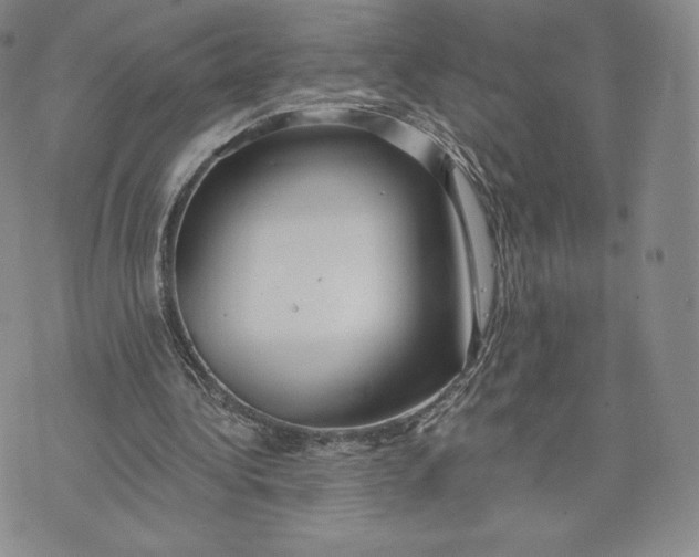 X0000072490340200608041421