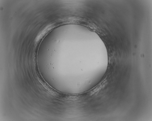 X0000072490341200608041421